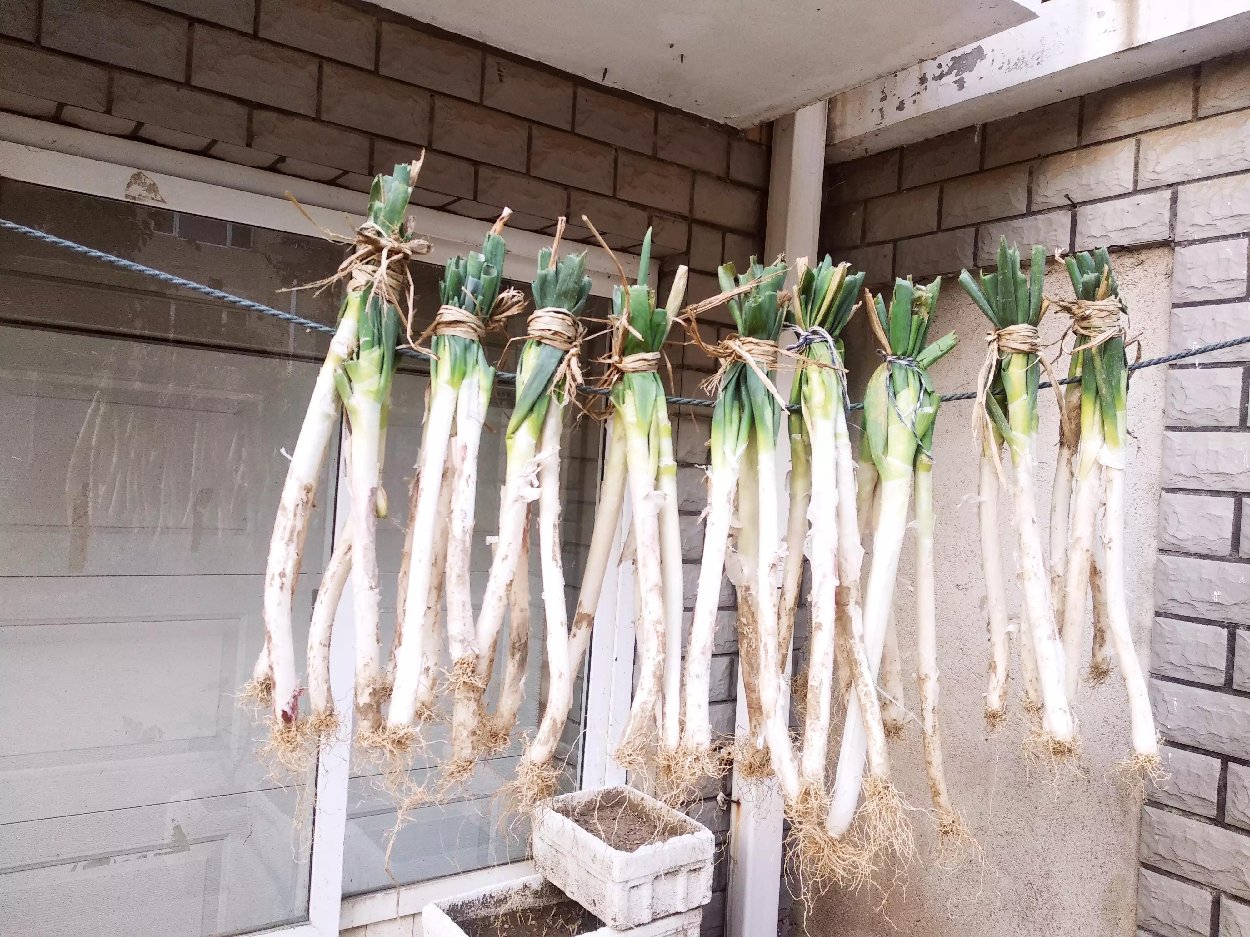 家有余粮心不慌正能量,家有余粮心不慌抖音