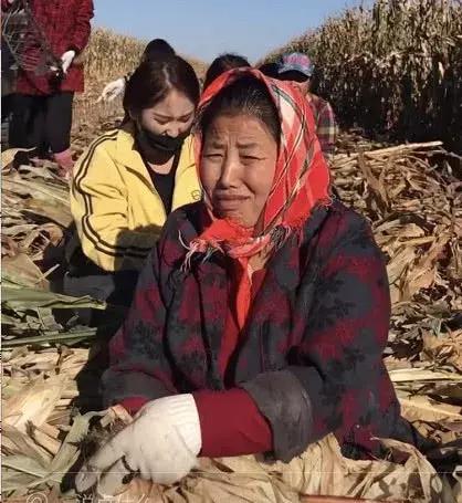 农民养猪为何难以致富,养猪致富案例视频