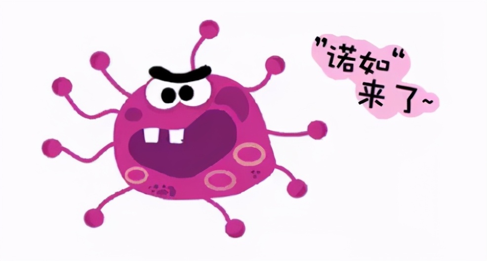 校园成诺如病毒聚集地怎么预防,学校发生诺如病毒预防注意事项