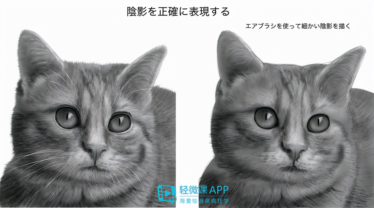 最最简单的动物画法,小动物怎样画出不同动作