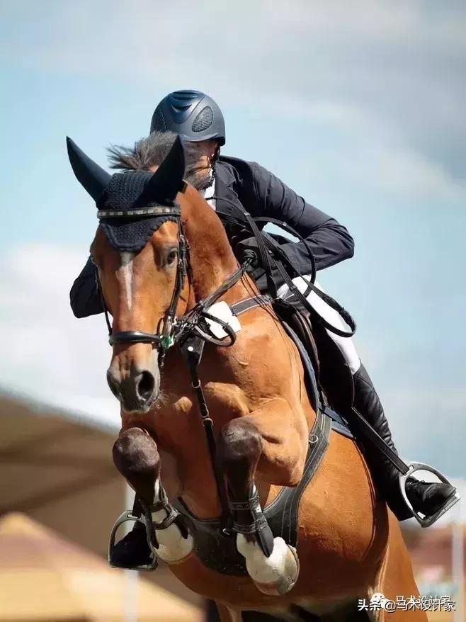 台湾养马场,台湾新竹马场