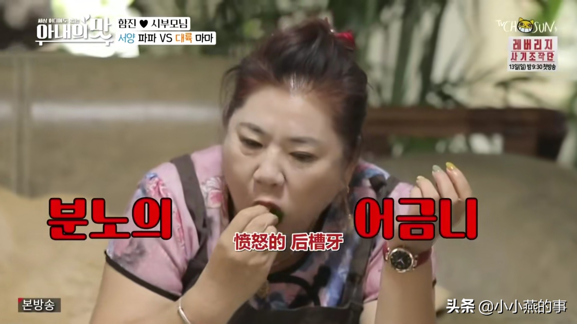 中国婆婆太“虎”了,在韩国节目里是不是应该注意一下形象