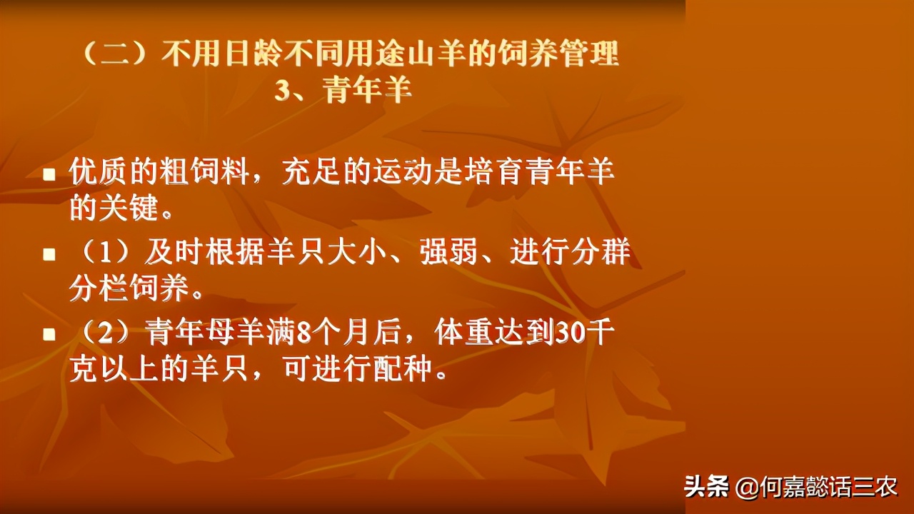 何嘉懿讲兽医养殖技术,何嘉懿的养殖方法