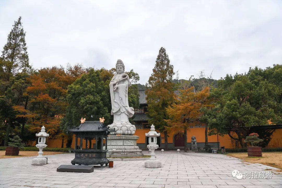 时髦！这座沿海小城居然藏着一波小众新玩法！|“...