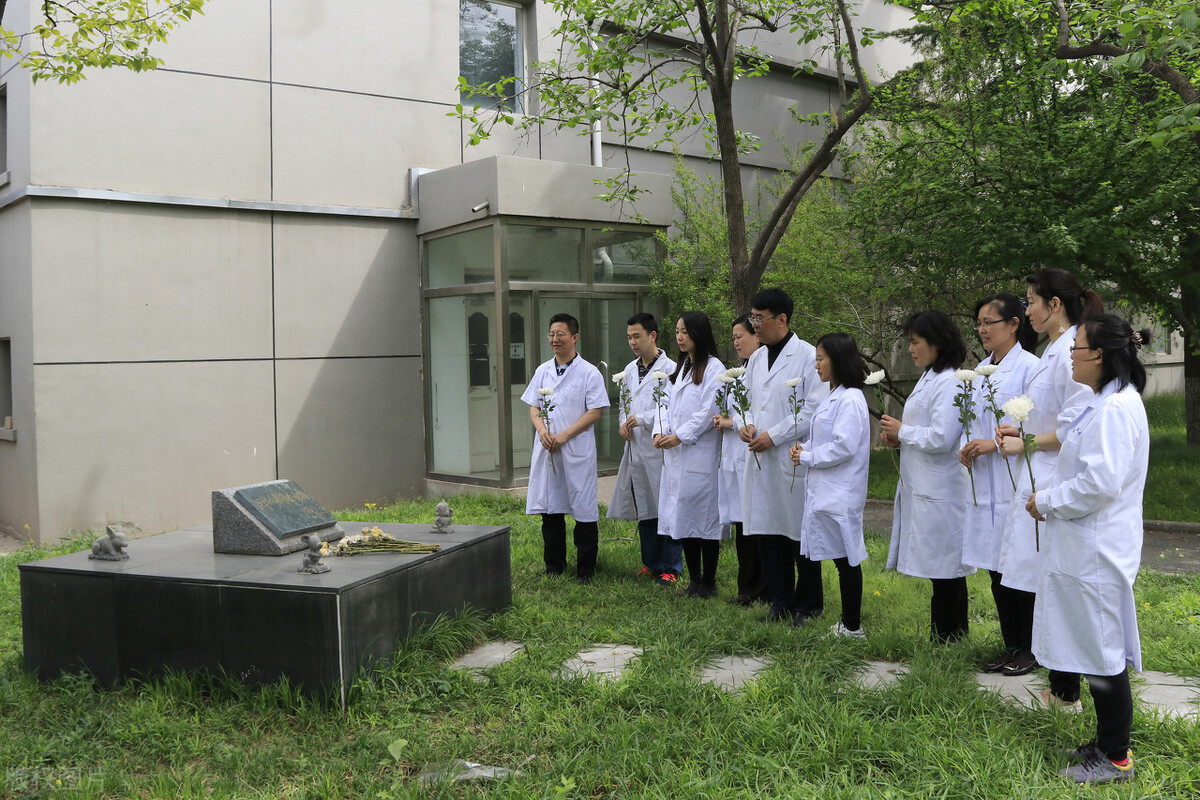 这些大学的口腔医学专业,办学水平高,毕业生就业质量有保障