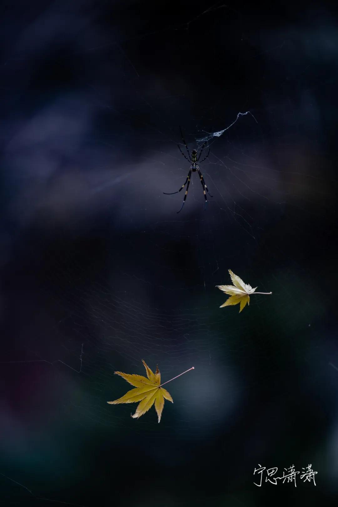 “5”缘有缘我与摄影的故事也是我与佳能“5”的故事