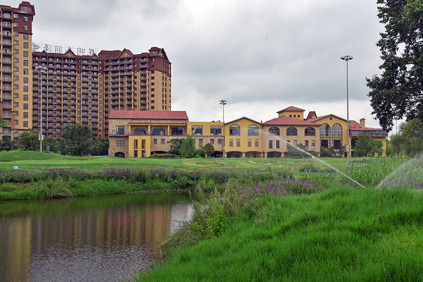 昆明薰衣草花海,昆明紫色花海旅游攻略