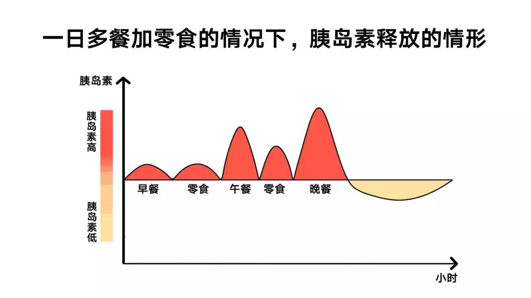 16-8小时轻断食注意事项,16小时轻断食正确的方法