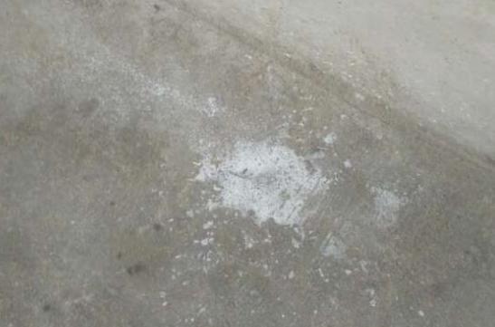 怀孕母猪流出白色面糊状是啥原因,母猪临产流出白色分泌物怎么回事