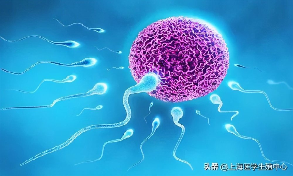 试管婴儿取完卵防止腹水,试管婴儿取完卵后注意哪些事项