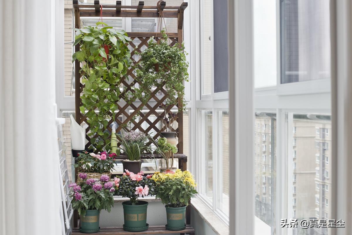 有钱买房子没钱装修的视频,没钱装一个房间的效果图