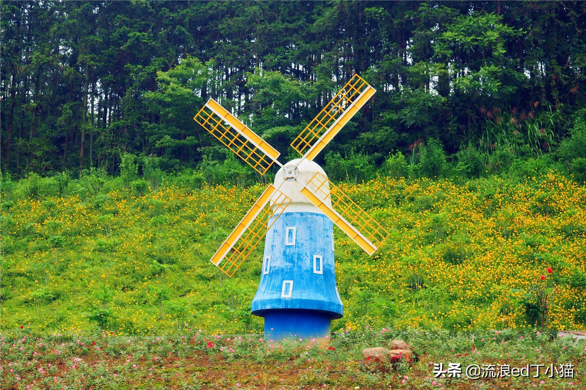 老成都人眼里的“暴发户”城区，境内既有繁华商贸，又有诗和远方