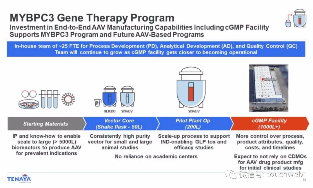 基因疗法相关上市公司,tenaris公司