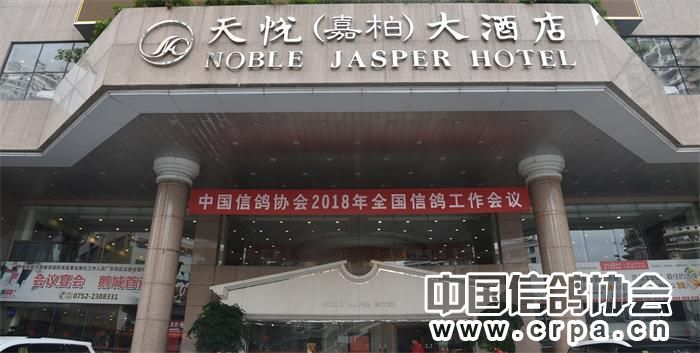 中国信鸽协会各地鸽会,惠州市信鸽协会电话