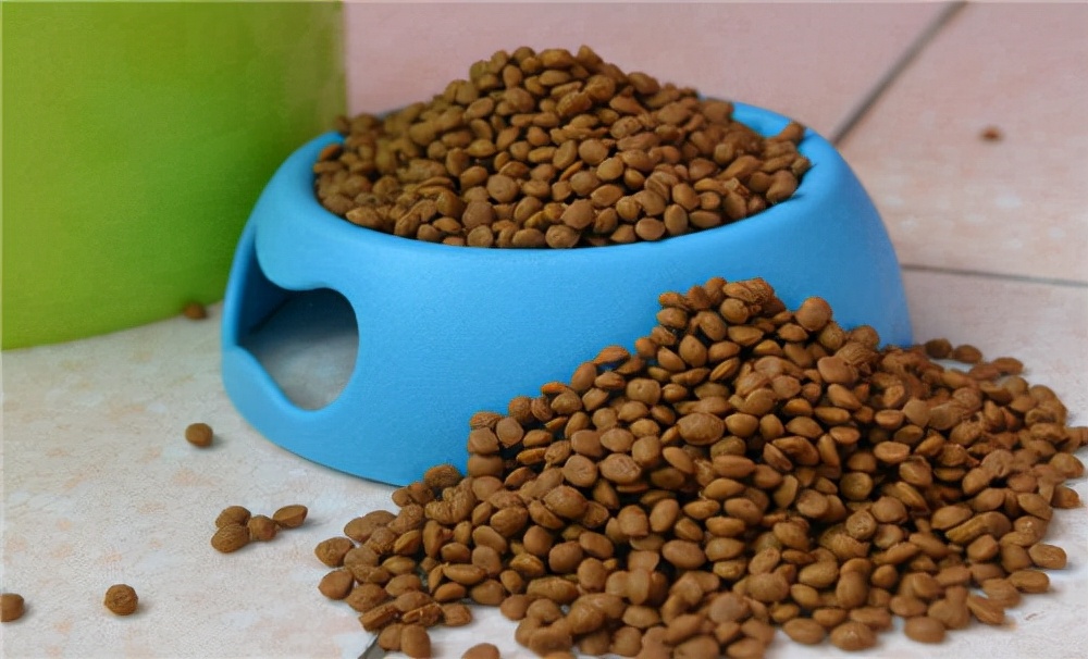 养狗呕吐治疗方法,狗狗呕吐怎么治疗最佳方法