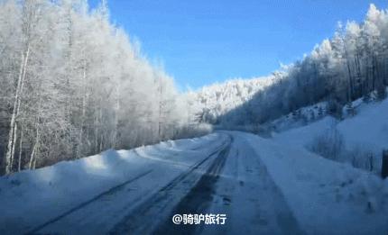 此生必去看一次雾凇太美了,此生必去看一次雾凇简直要美哭了