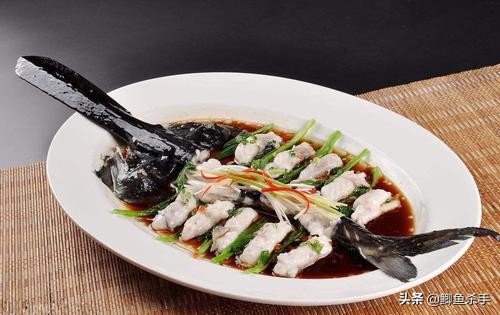 3亿年前的鸭嘴鱼,三亿年前鸭嘴鱼