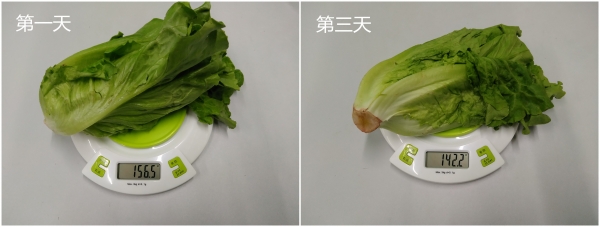 性价比品牌小冰箱,性价比高小冰箱哪个品牌好