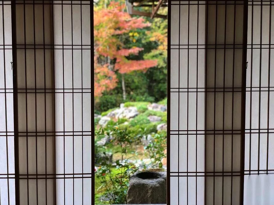 做个‘追枫少女’领略红叶之美！