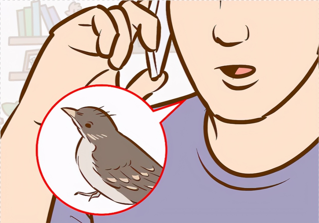 幼鸟从树上掉下来母鸟能救上去吗,幼鸟从树上的鸟巢中掉下来