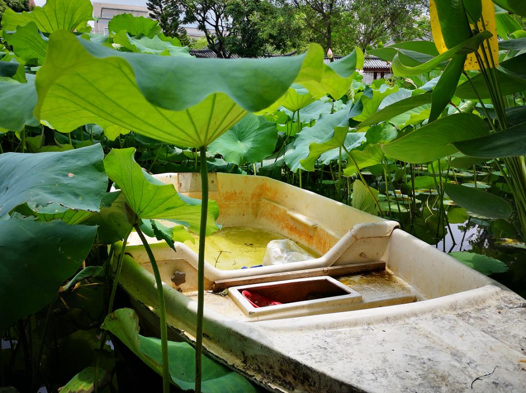 广西大学变化历史,广西大学文科毕业的你后来咋样了