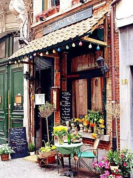 开一个花店指南,如果你也想开一家花店书籍