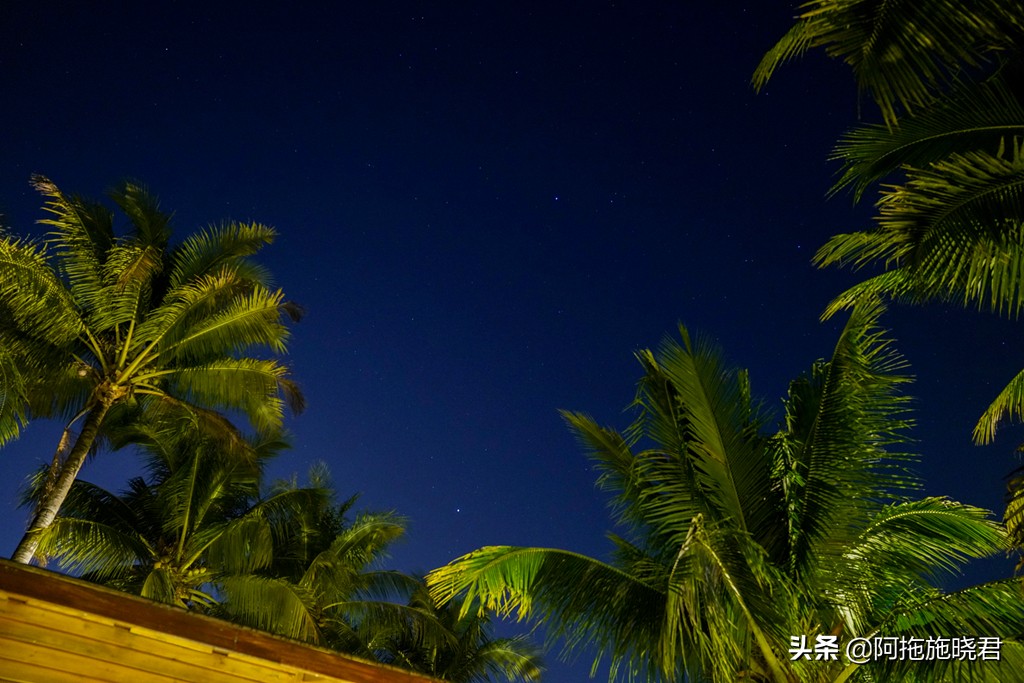 漫步其中尽享清新惬意,漫步海边椰林