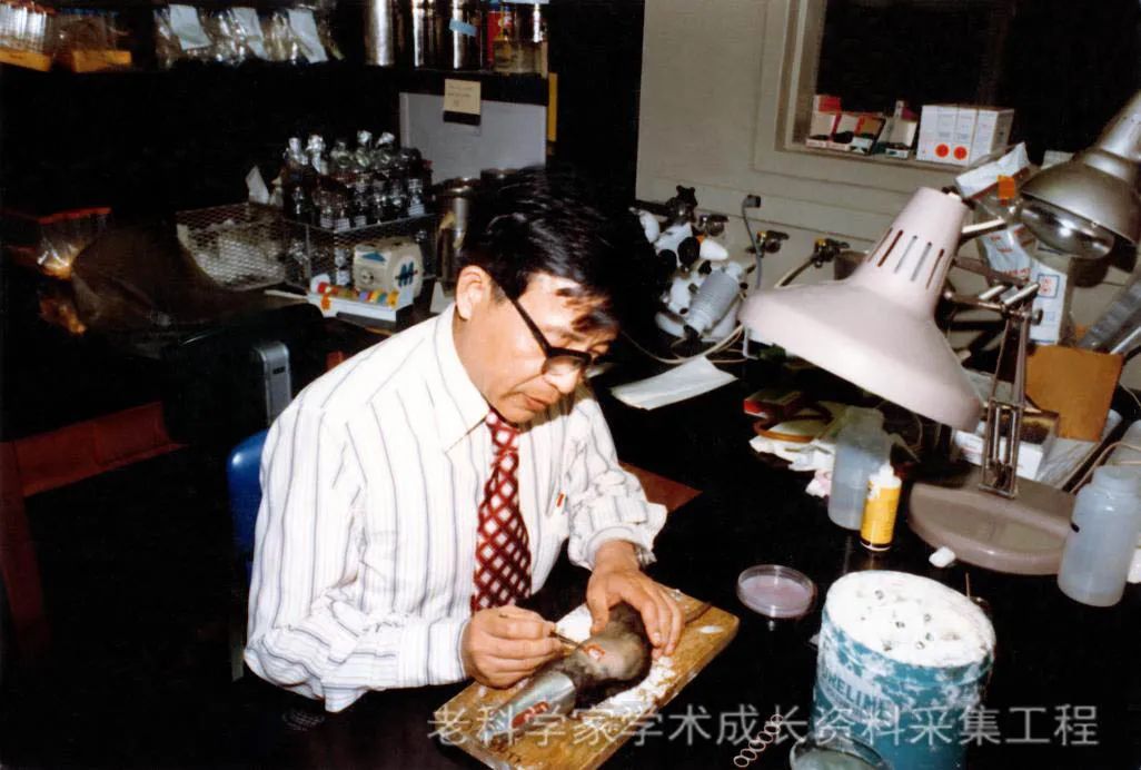 陈洪铎院士坐诊哪个医院,陈洪铎院士精神品质