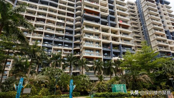 深圳盐田20年中考区状元,盐田区中考状元