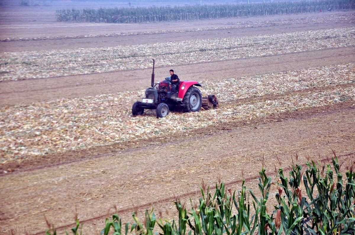 农村耕地做光伏的危害,基本农田建光伏的危害