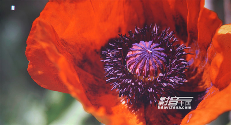 宏碁7513投影机,宏碁投影机e352d