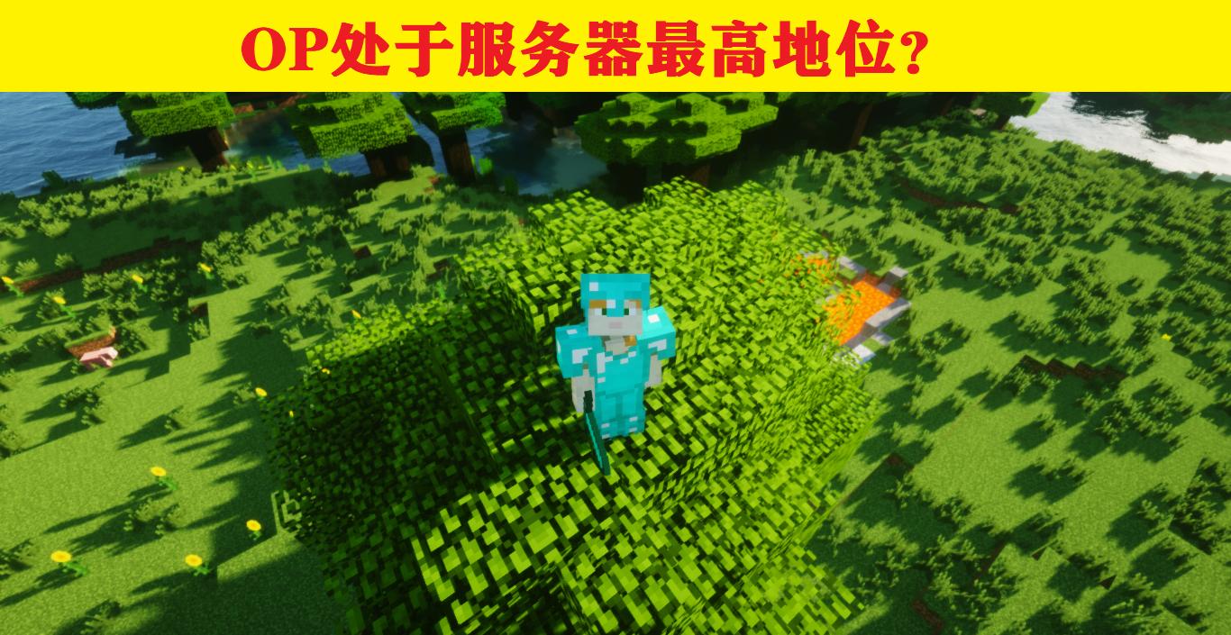 我的世界服务器玩家五条信息,我的世界关于服务器的知识