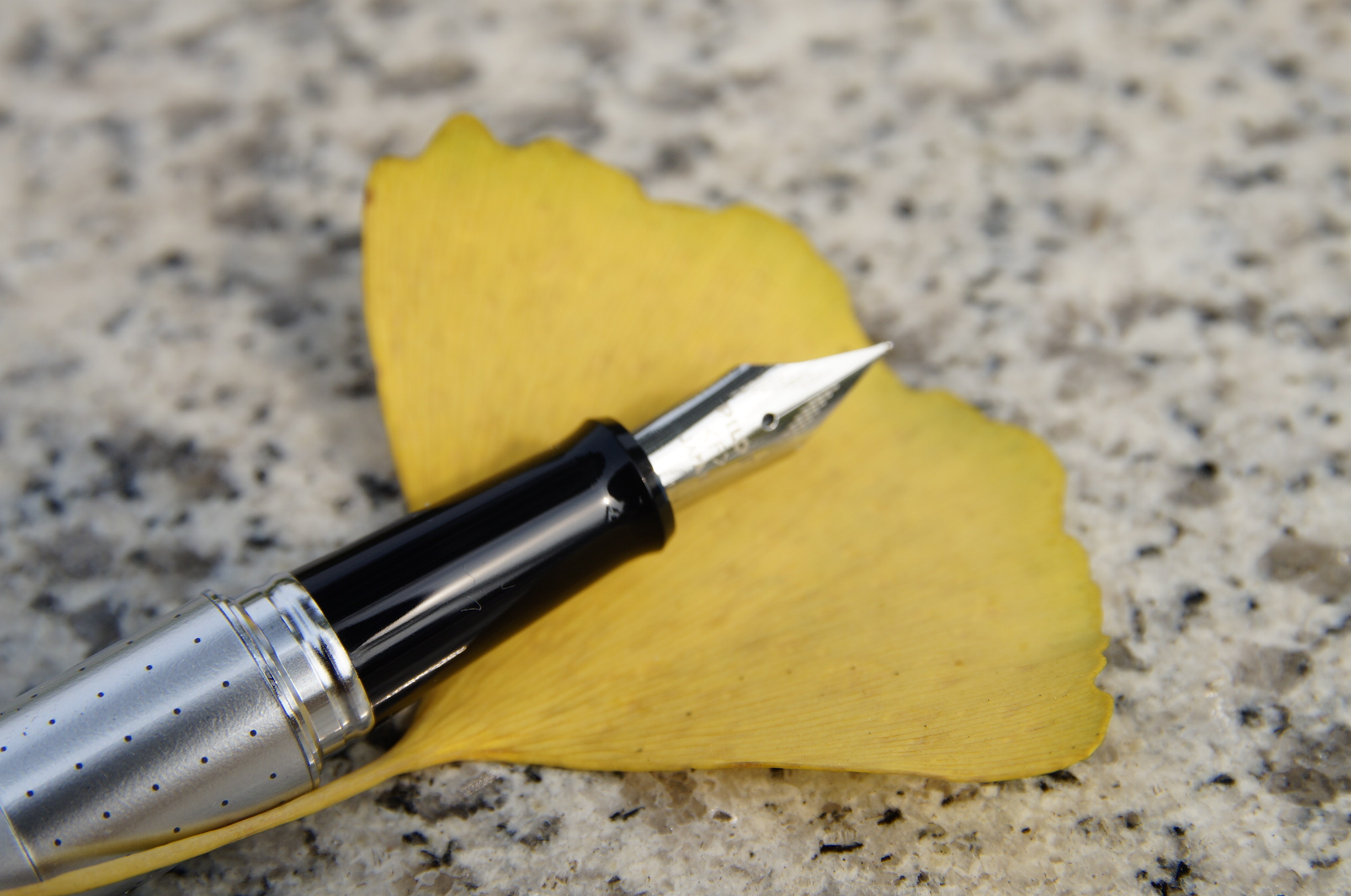 日本pilot百乐88g动物纹钢笔测评,百乐88g钢笔评测