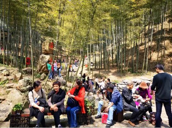 不负假期不负青春,不负韶光享受春日