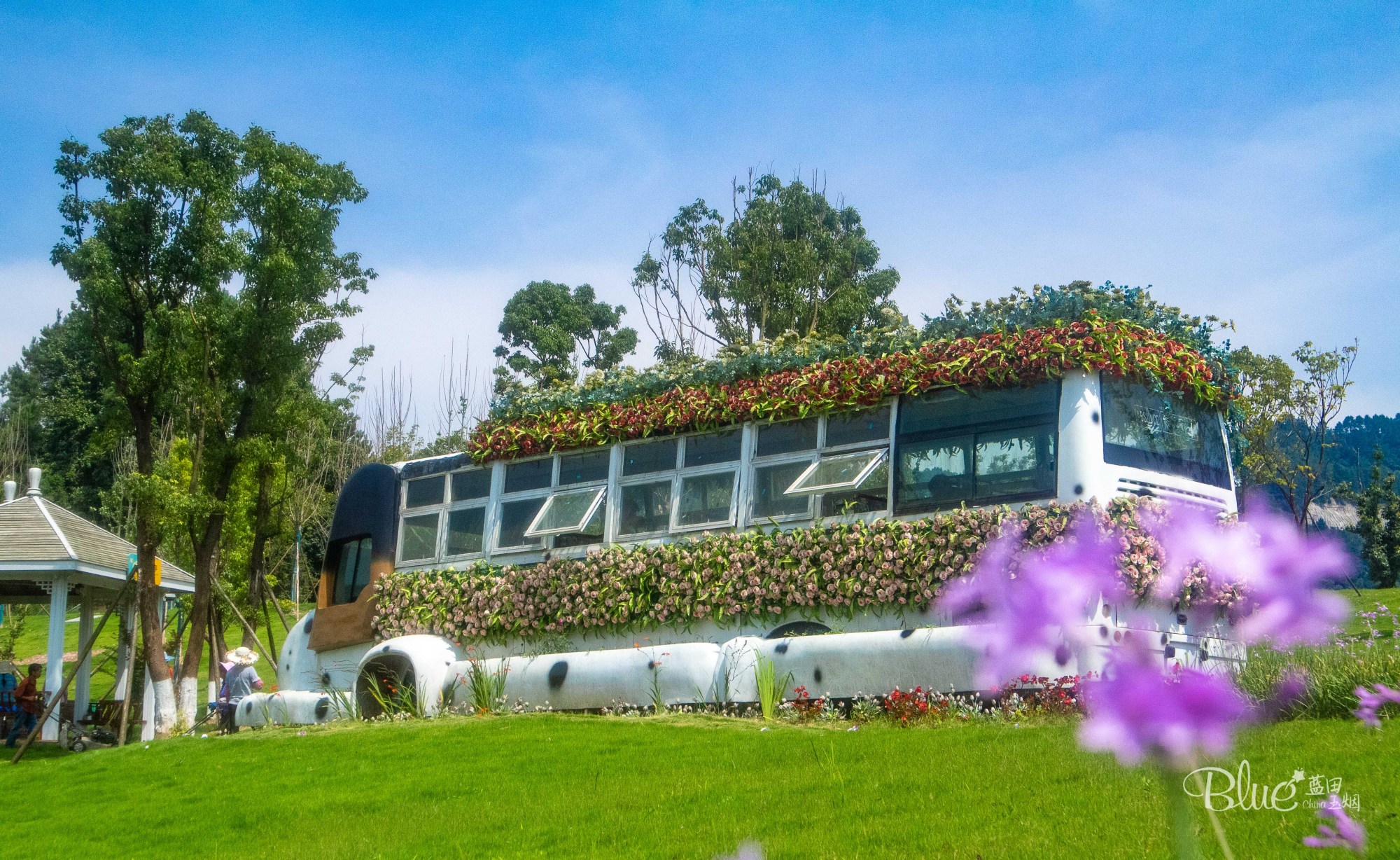 綦江横山花仙谷全景,重庆綦江看花景点推荐