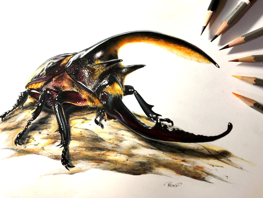 失明女孩铅笔画,手绘眼睛流泪铅笔画