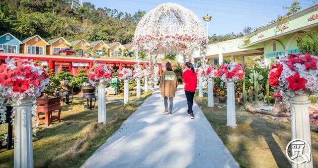 深圳花店有什么花,深圳龙华花店订花送花