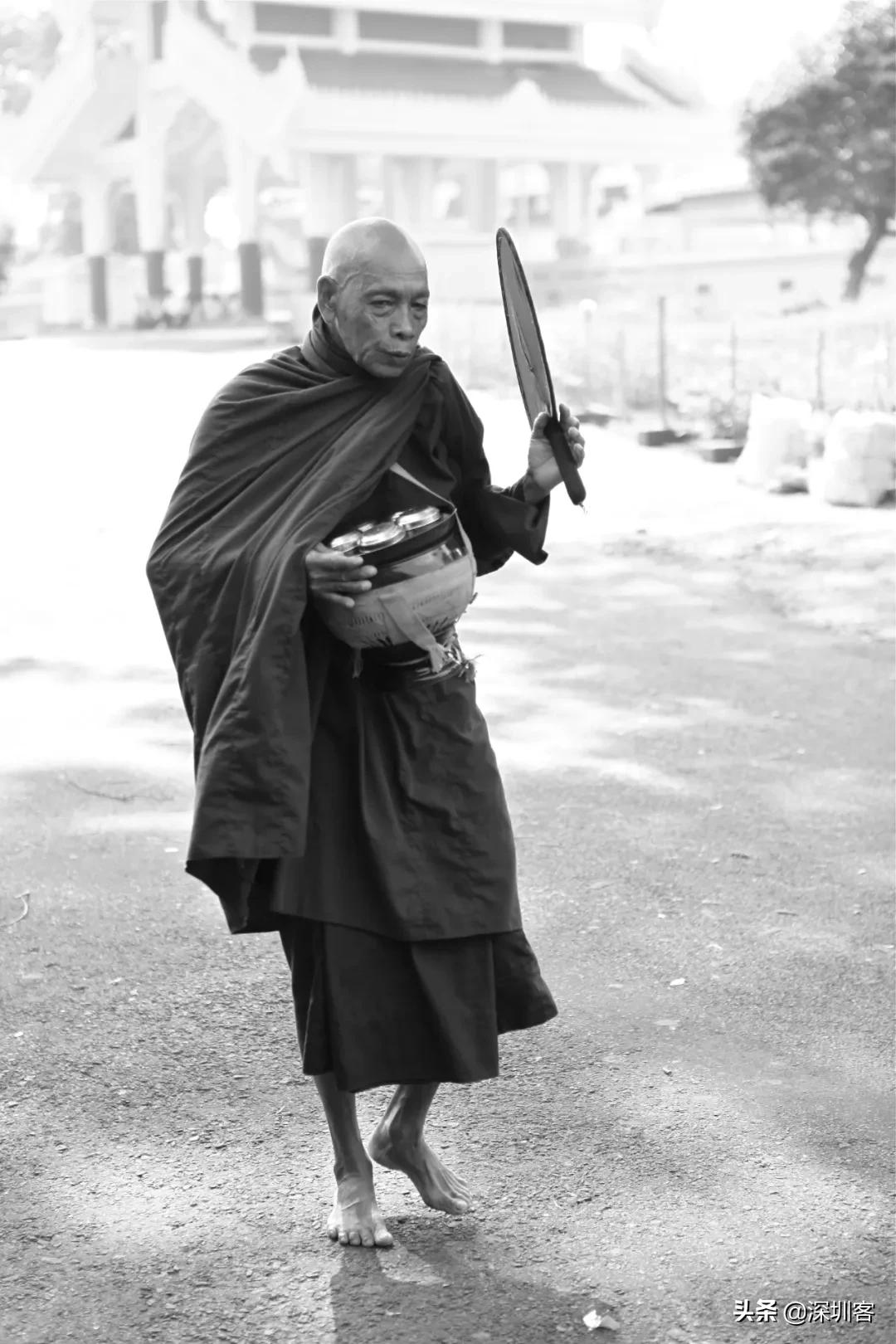 深圳的冬天是阳光明媚的冬天,深圳的冬天一点也不冷