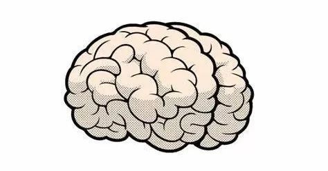 「最新」美国儿科学会：吃鱼、服用鱼油/DHA的利与弊