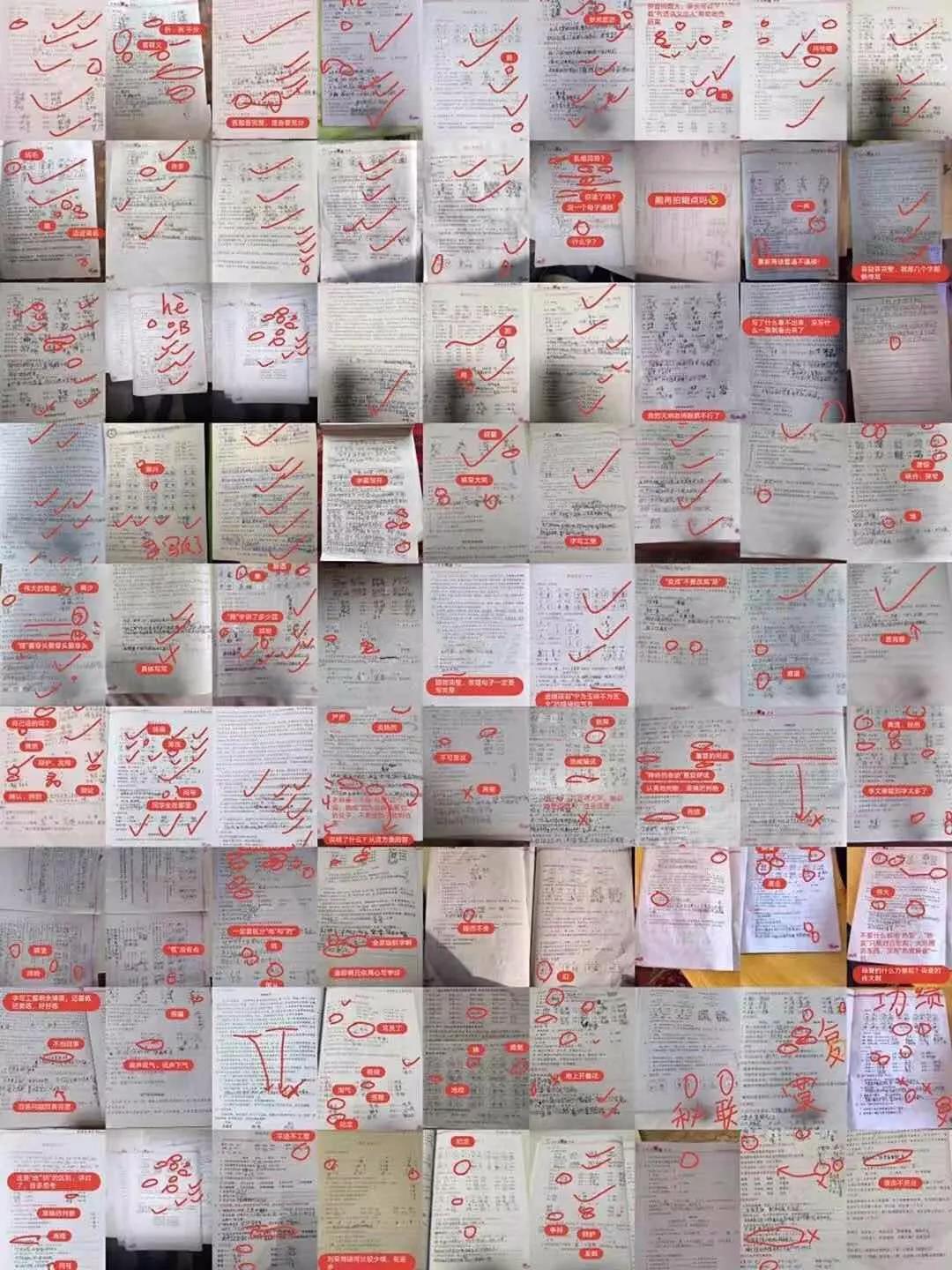 老师直播网课被封号,上直播课被老师禁言怎么办