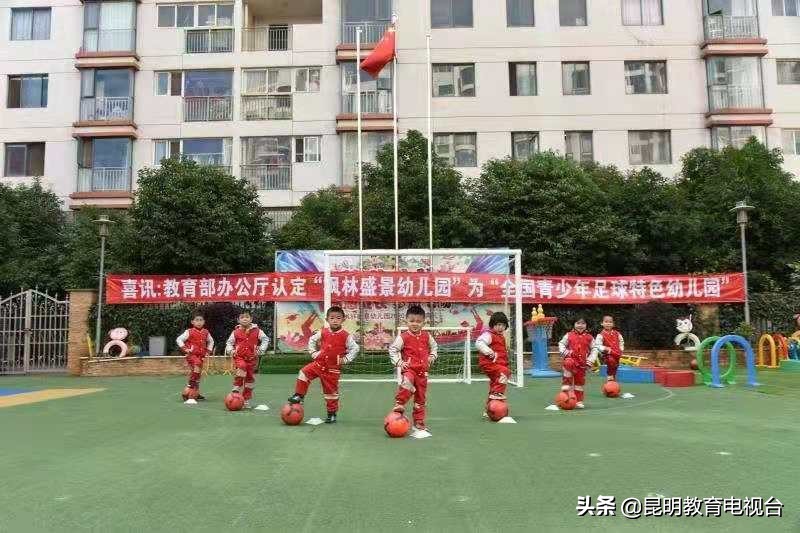 枫林盛景幼儿园学费,枫林盛景附近幼儿园