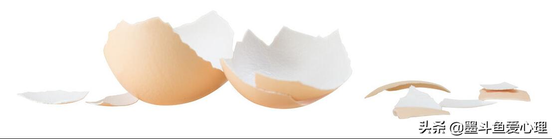 广州蛋壳租客坠楼身亡,广州蛋壳租客坠楼事件