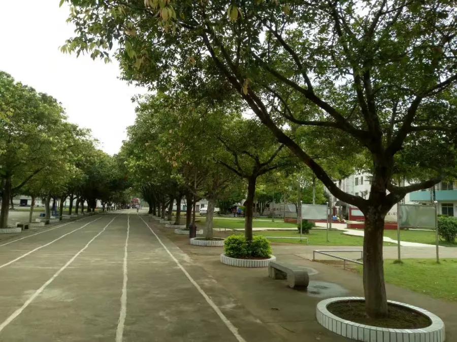 平乐源头二小视频,桂林平乐源头镇二小