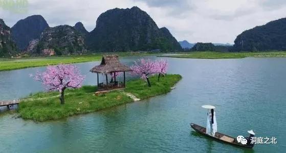 茶叶礼盒广告语大全集,茶叶包装盒征集广告语