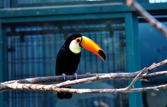 上海的魅力在什么地方,上海十六个区哪个区最好