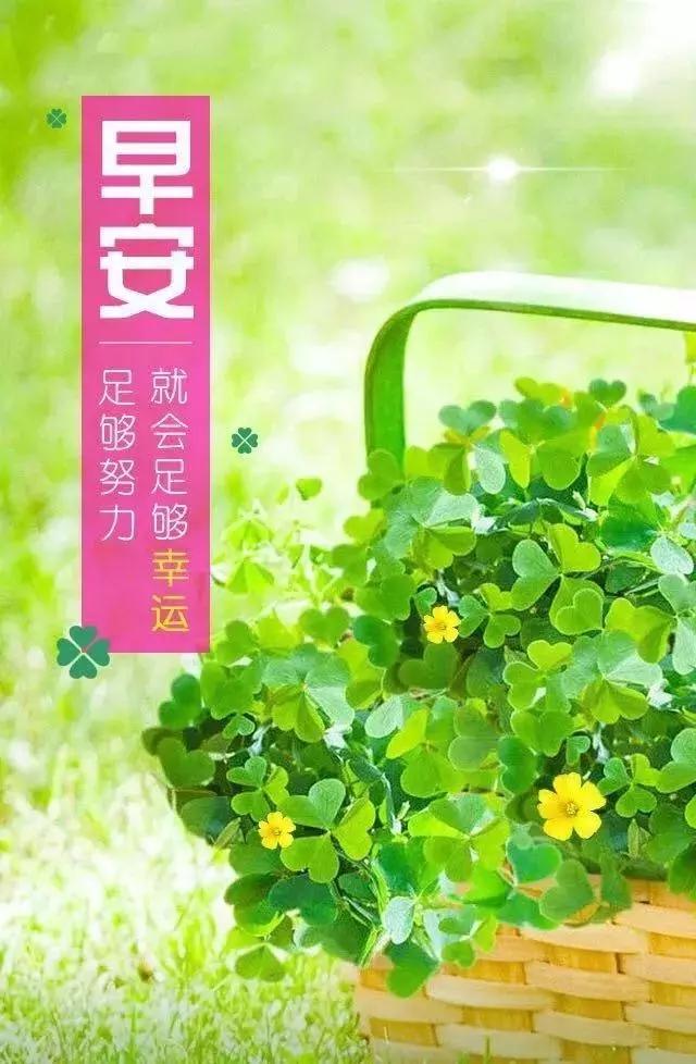 珠宝朋友圈文案高级感正能量优雅,正能量积极向上的文案高质量短句