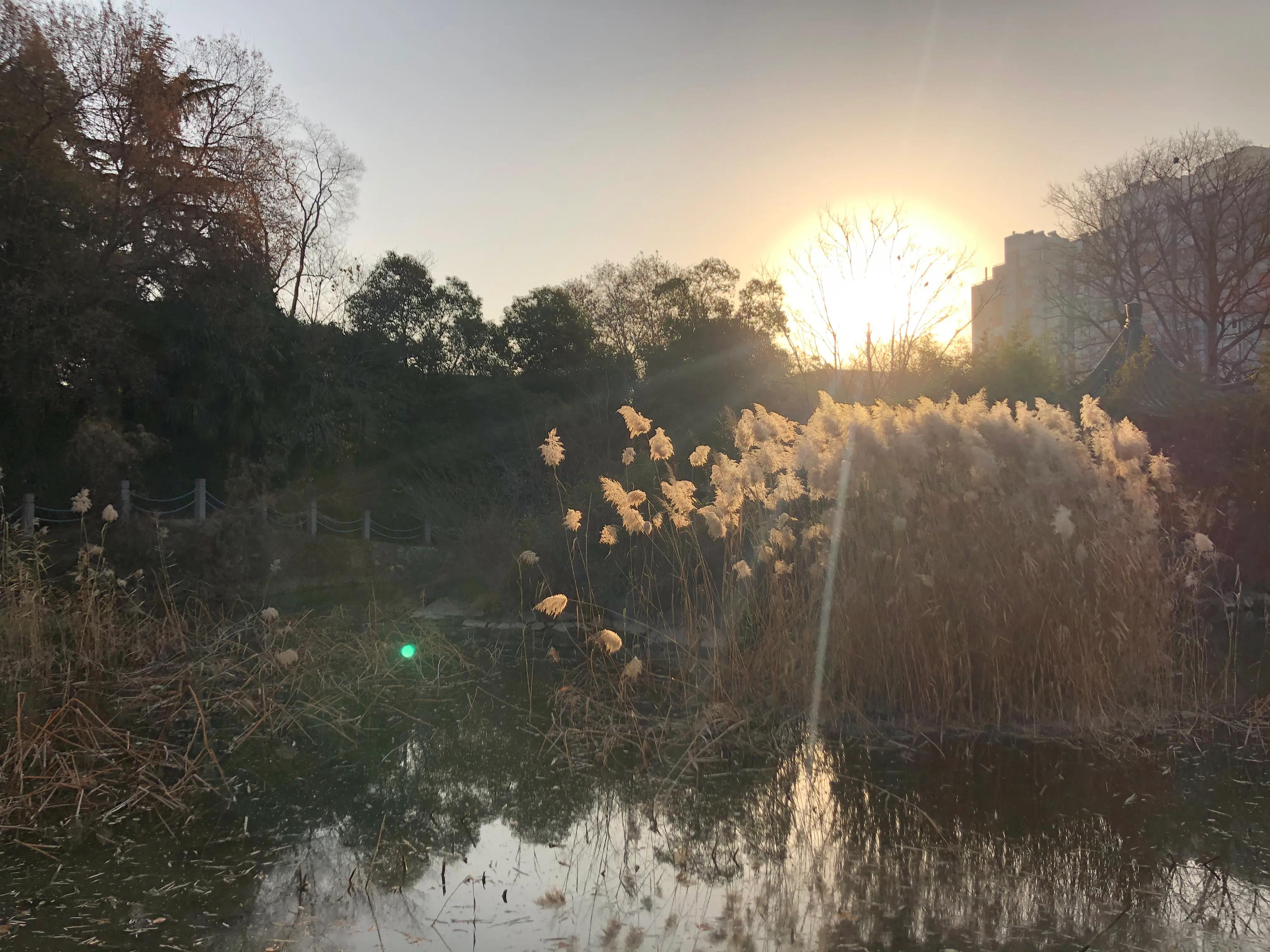 平顶山河滨公园旅游攻略,平顶山森林公园游记