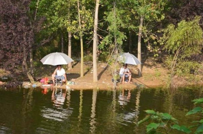 草鱼难钓,大水面如何快速诱草鱼