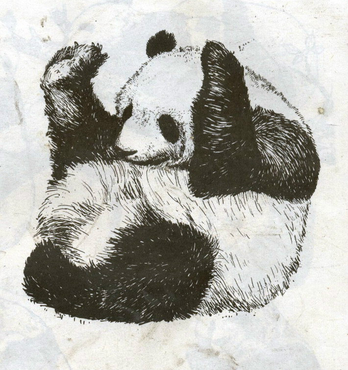 一百幅动物素描,近百幅动物画