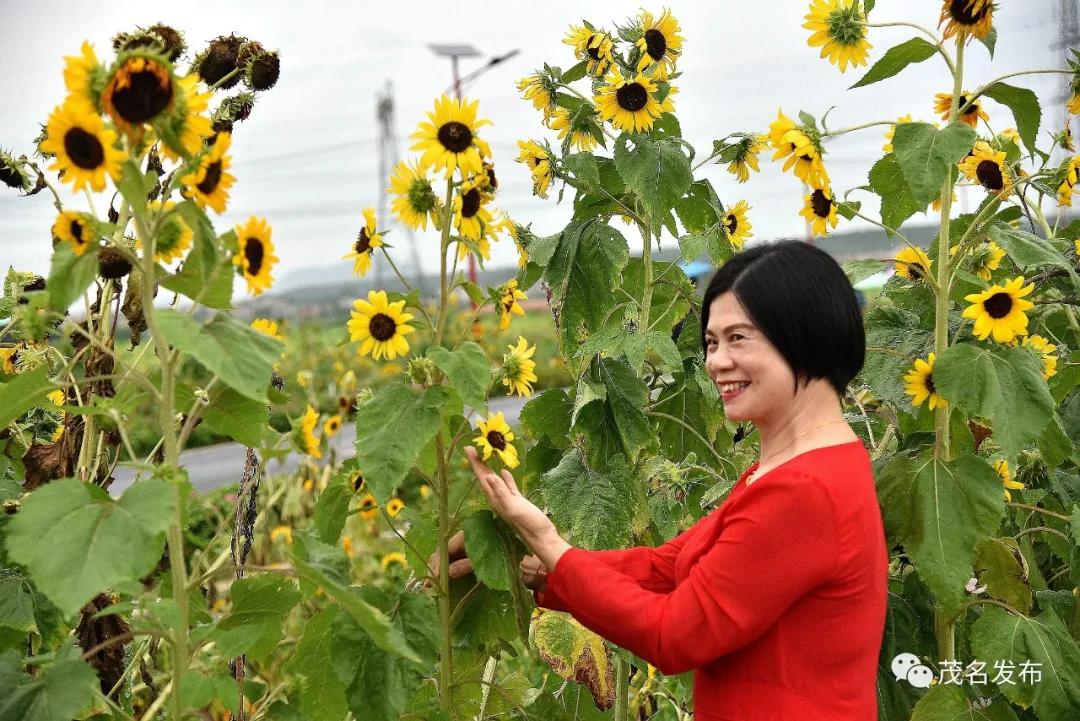 乡村振兴看辉煌,乡村振兴看东富